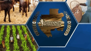 Retour sur le Grand Prix de l’Entrepreneuriat 2025 « Oser mon projet »