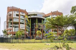 Nature protégée, économie boostée : le nouveau visage des Eaux et Forêts au Gabon