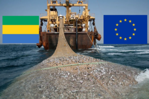 Pêche au Gabon : vers une redéfinition des accords avec l’Union européenne
