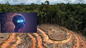 Gabon : l’intelligence artificielle en première ligne contre la déforestation